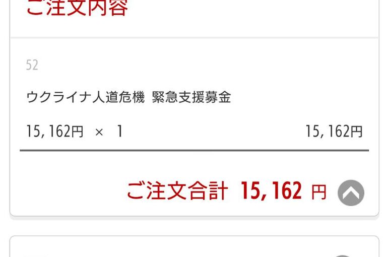 15676880724017