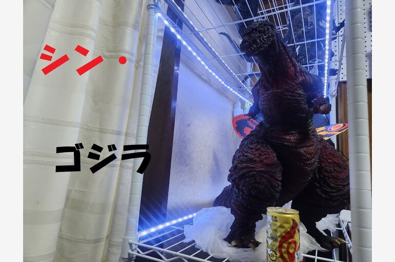3024
